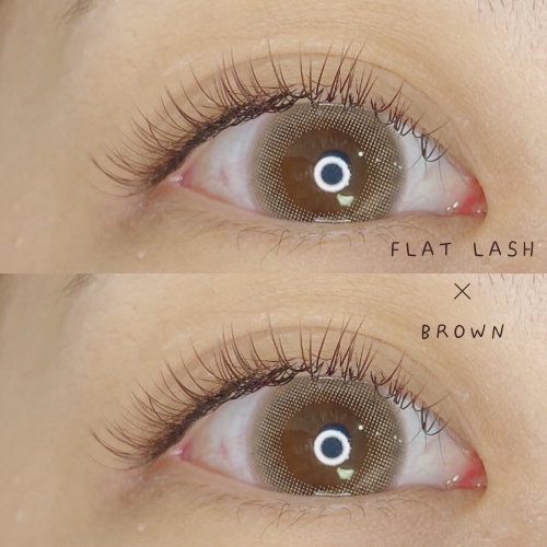 FLATLASH×BROWN